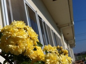 本日は入園説明会です