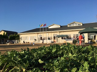 きもちのよい天気になりました