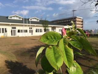 雨上がりの園庭